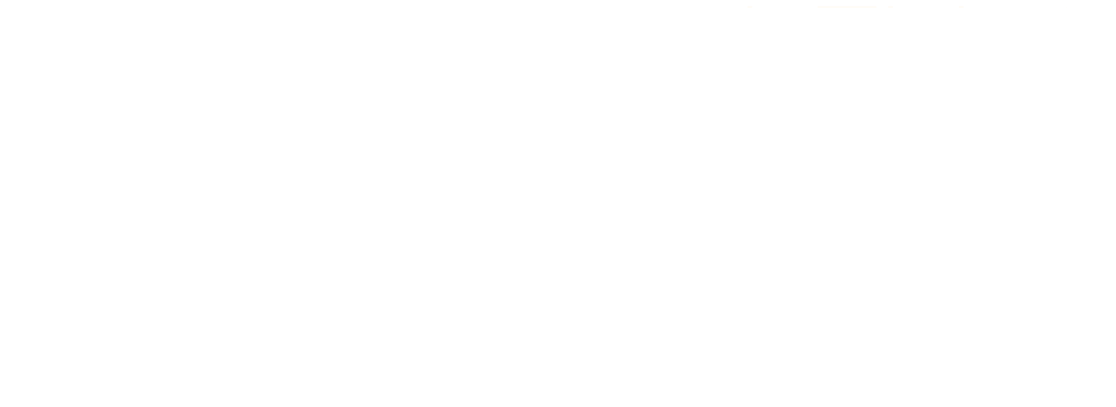 logo light